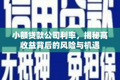 太谷小额贷款公司利率，揭秘高收益背后的风险与机遇