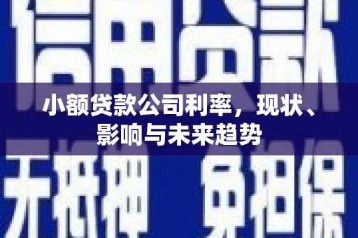 太谷小额贷款公司利率，现状、影响与未来趋势