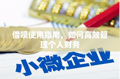 太谷借呗使用指南，如何高效管理个人财务