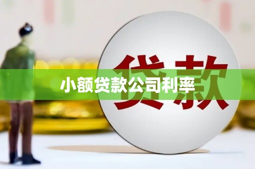 太谷小额贷款公司利率