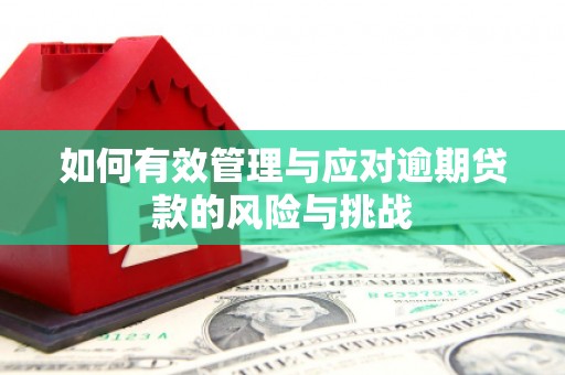 太谷如何有效管理与应对逾期贷款的风险与挑战