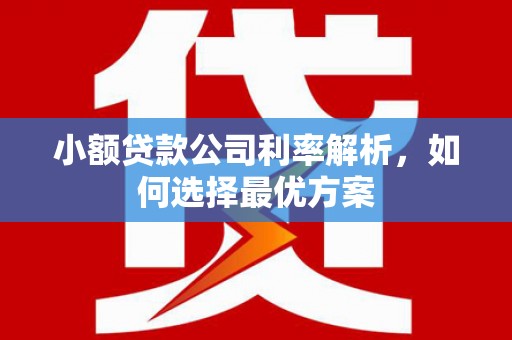 太谷小额贷款公司利率解析，如何选择最优方案
