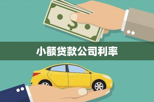 太谷小额贷款公司利率