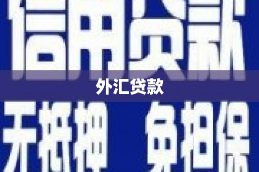 太谷外汇贷款