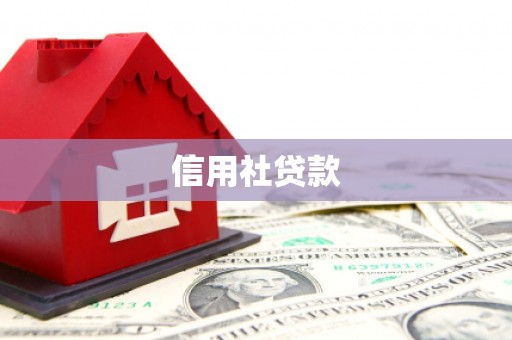 太谷信用社贷款