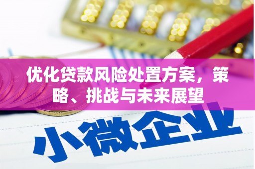 太谷优化贷款风险处置方案，策略、挑战与未来展望