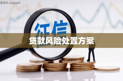 太谷贷款风险处置方案