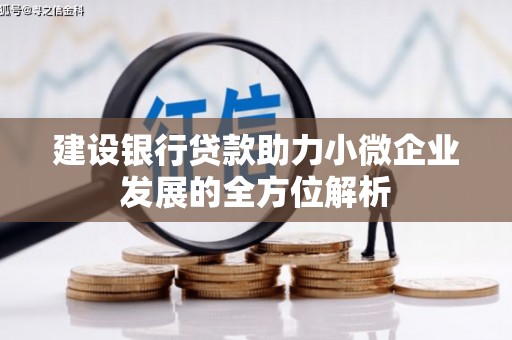 太谷建设银行贷款助力小微企业发展的全方位解析