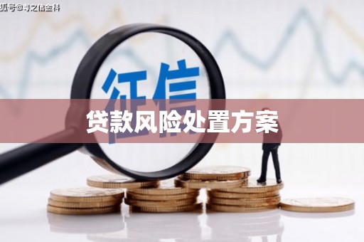 太谷贷款风险处置方案