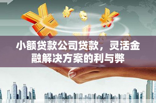太谷小额贷款公司贷款，灵活金融解决方案的利与弊